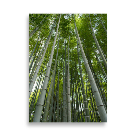 Arashiyama